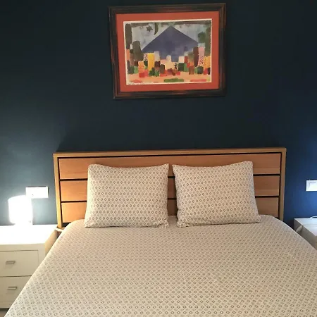 公寓 Apartament Centre Ciutat *