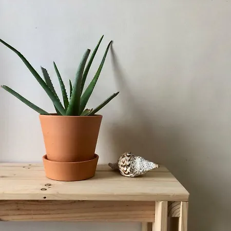 Apartament Centre Ciutat * Tarragona